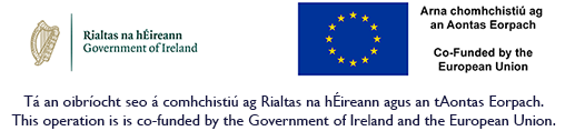 eu gov 2025